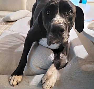 Photo of Stormy