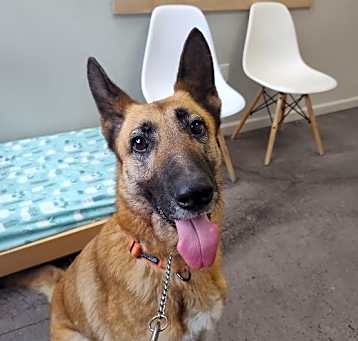 Photo of Lyla (AKA Beatrix)