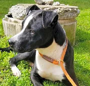 Photo of Oakley