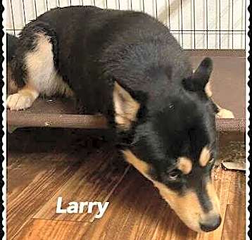 Photo of Larry