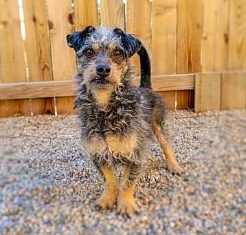 Photo of Oakley
