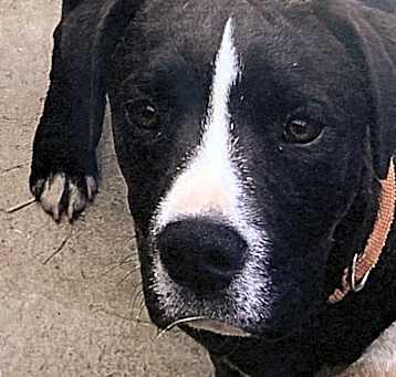 Photo of Hoffa +