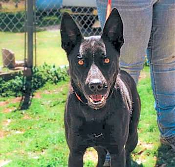 Photo of Reggie