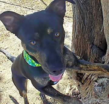 Photo of Luna