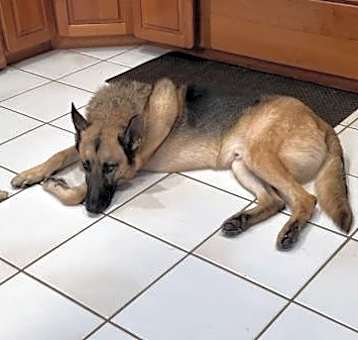 Photo of Hans