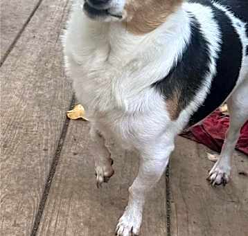 Photo of Sampson *FTA*