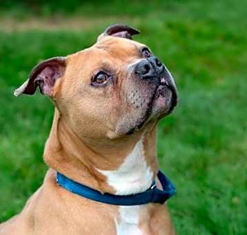 Photo of Kaizer