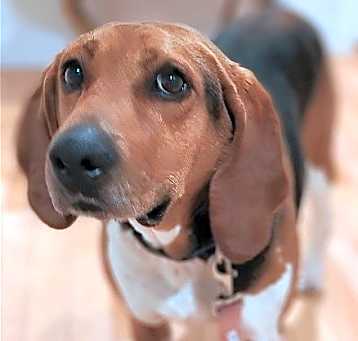 Photo of Molly