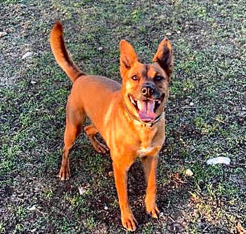 Photo of Coop