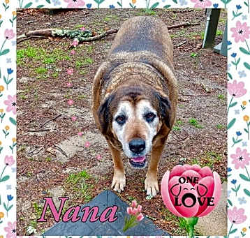 Photo of Nana