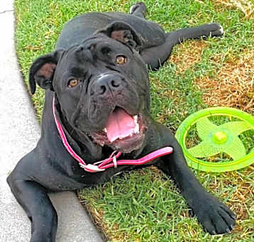 Photo of Pretty Frida