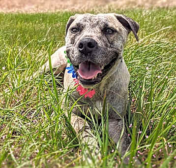 Photo of Daisey