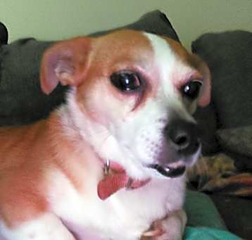 Photo of Butter