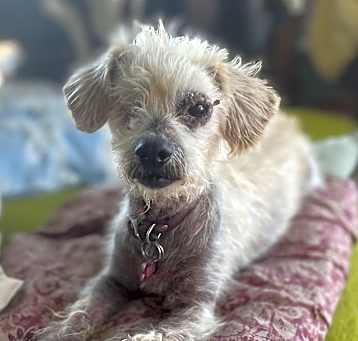 Photo of Ellie