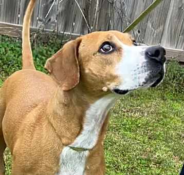 Photo of Remi