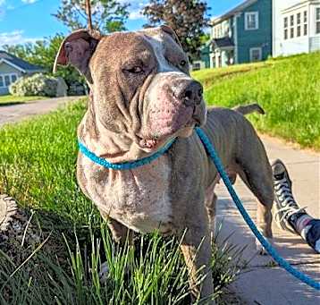 Photo of Oscar