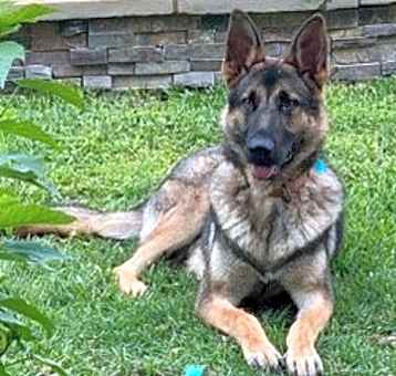 Photo of HARIBO
