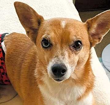 Photo of Carson