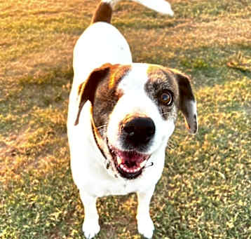 Photo of Bianca
