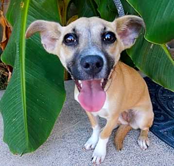 Photo of Evie