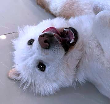 Photo of Benny