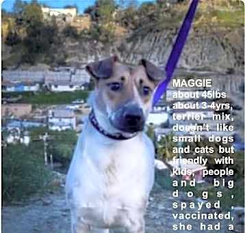 Photo of Maggie