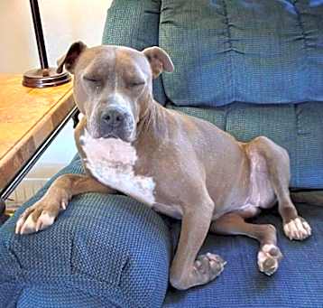 Photo of Raine