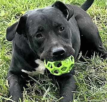 Photo of WRANGLER