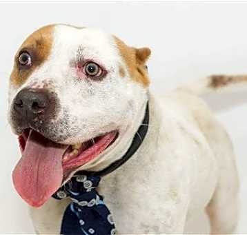 Photo of Zeke