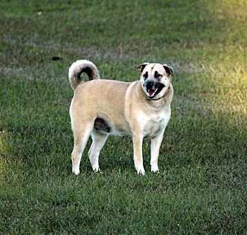 Photo of Zoey Martha