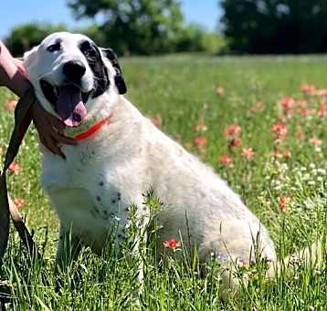 Photo of RUBY