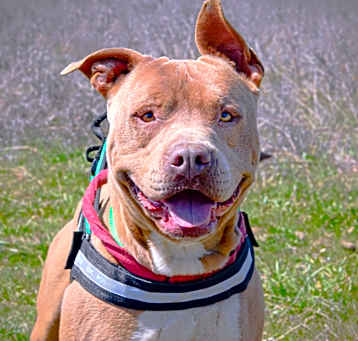 Photo of TANK