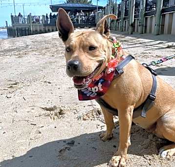 Photo of Kane - Single and ready to mingle!