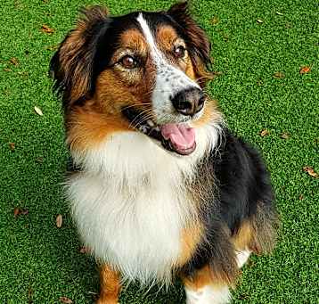 Photo of Zoeie
