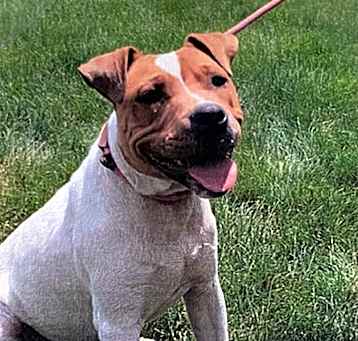 Photo of Justus