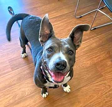 Photo of Layla*