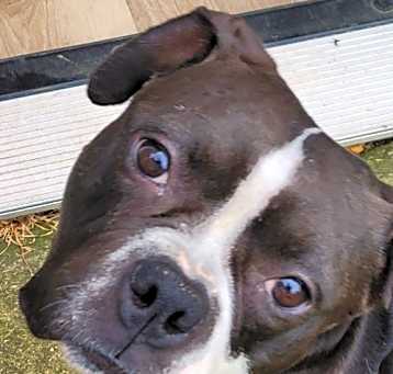Photo of Nellie