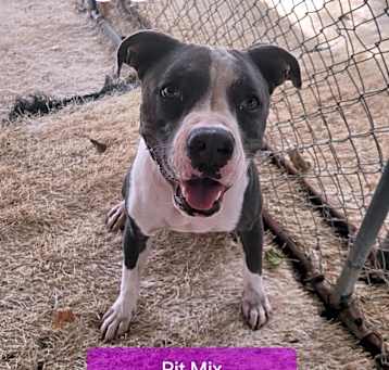 Photo of Maggie