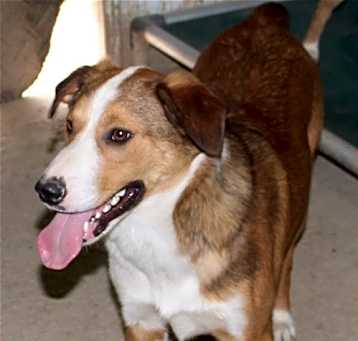 Photo of Kia