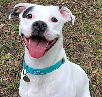 Photo of Rizzo