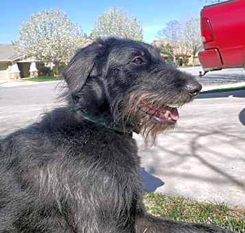 Photo of ROCKET