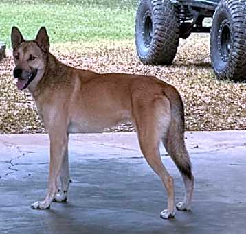 Photo of Diego