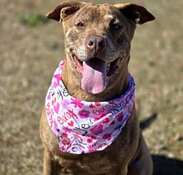 Photo of Judy / Ruby