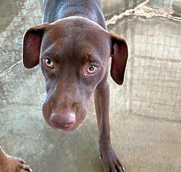 Photo of Kaia
