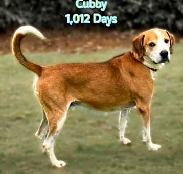 Photo of Cubby