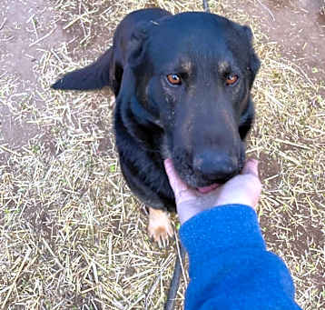 Photo of Hercules