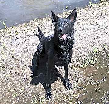 Photo of Vader
