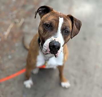 Photo of Riggs