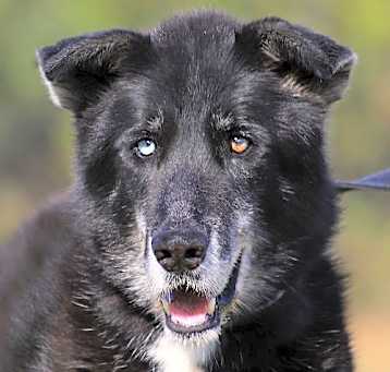 Photo of Dakota