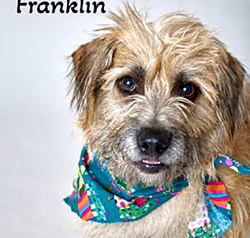 Photo of Franklin